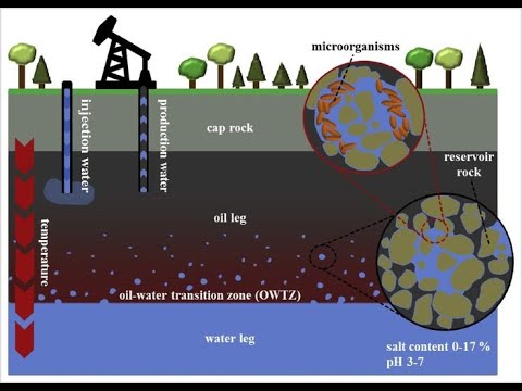 shale geomechanics in unconventional reservoirs